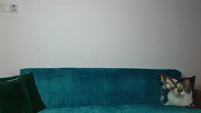 SaraDaisy webcam