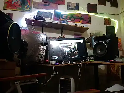 amoralall webcam