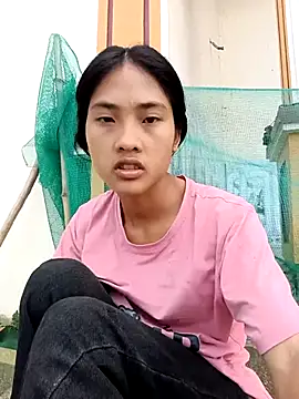 Hoa-tuylip