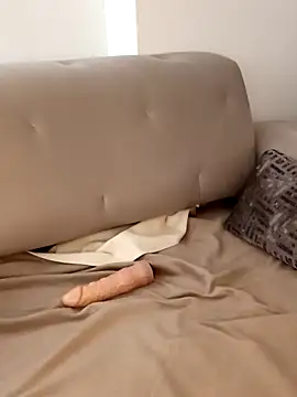 Banshhee webcam