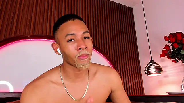 B_Wild webcam
