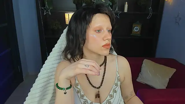 LidaDarknet webcam