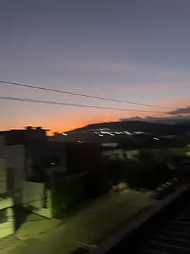 House_fox webcam