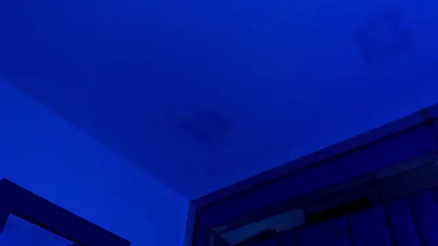 Sebax_Young webcam