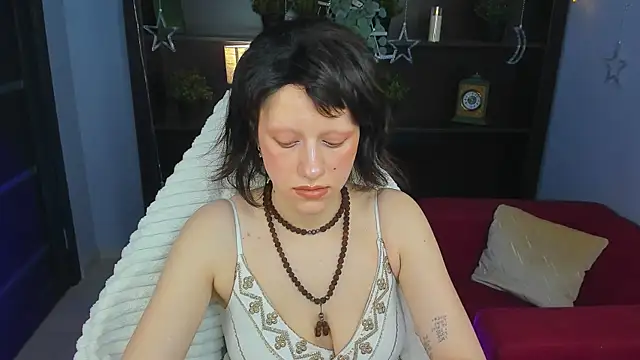 LidaDarknet webcam