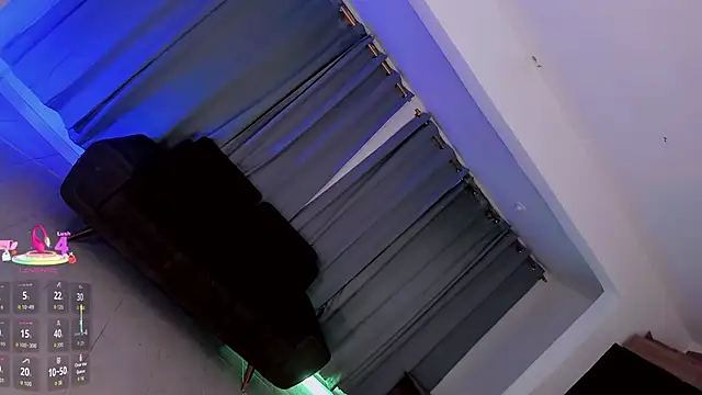 gatitavenecis webcam