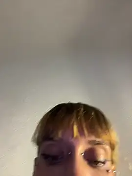 Newmeshh webcam