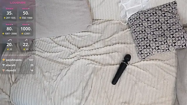 ModestaFlies webcam