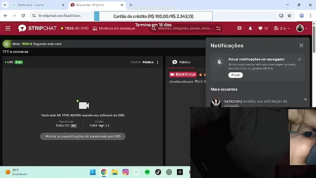 BlackVicius webcam