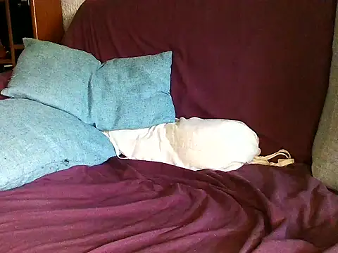 BaalPas webcam