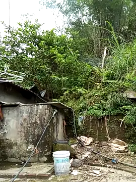 Chengnie webcam
