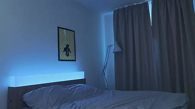 ShielaFan webcam