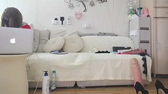 Prjskoviy's room