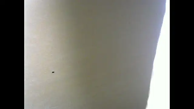 BabyCam23 webcam