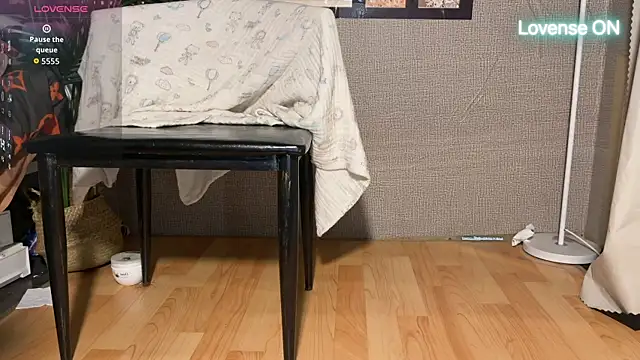 xiaosu22 webcam