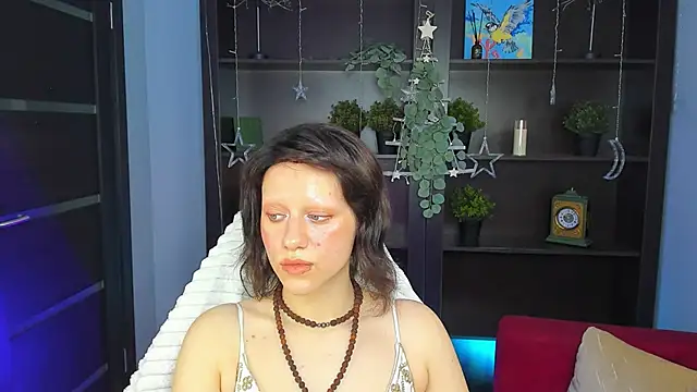 LidaDarknet webcam