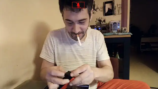 Hgay6935 webcam