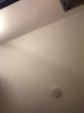 baby_lizy webcam