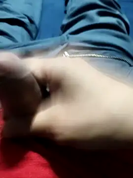 Aaia93 webcam