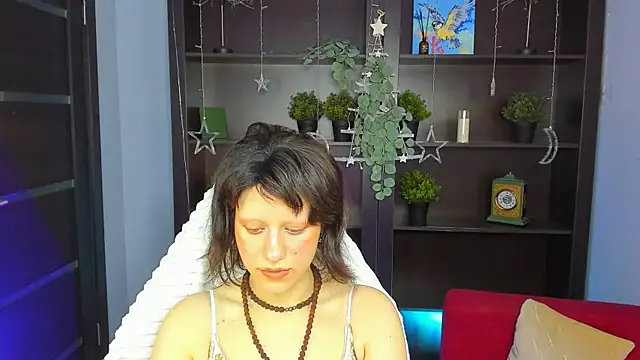 LidaDarknet webcam