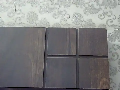 JANVI_06 webcam