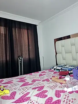 karla-bruni webcam