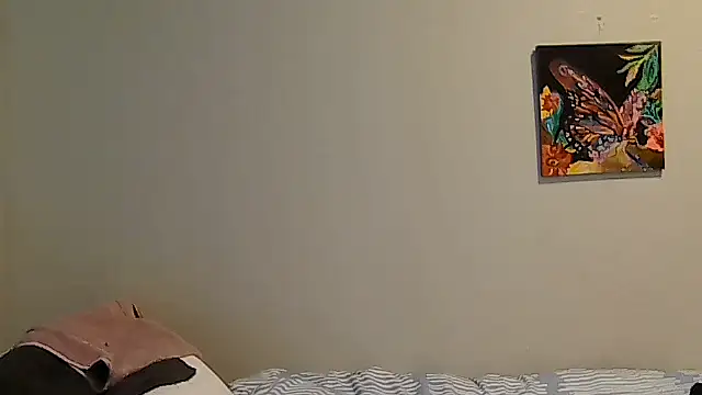 belgianshantie webcam
