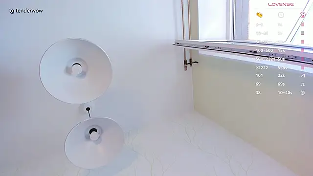 Tenderalise webcam