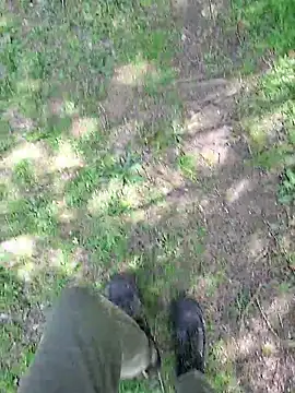 FreezingTie850 webcam