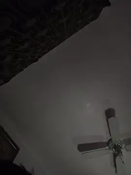 gemini12838 webcam