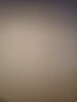 AlphaGymMale webcam