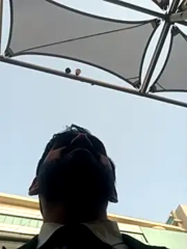 Playbcallb webcam