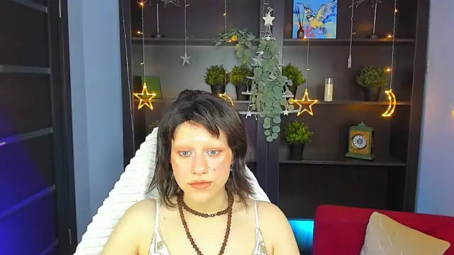 LidaDarknet webcam