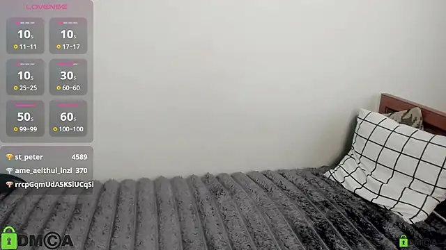 Vedime webcam