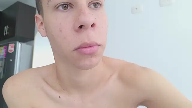 grey___27 webcam