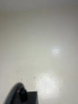 Reecekay webcam