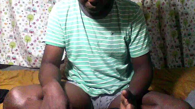 little__joy webcam