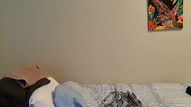 belgianshantie webcam