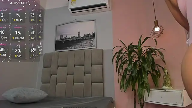 dyvis_22 webcam