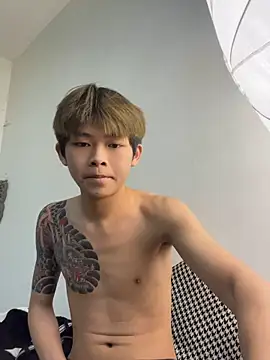 XBD-1 webcam