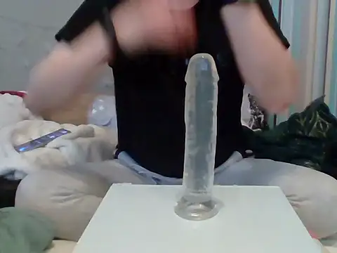 evilku webcam