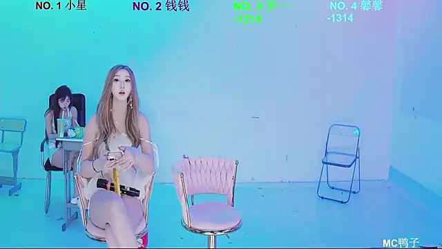 ZZ00033S webcam