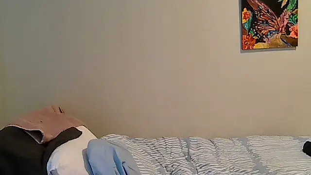 belgianshantie webcam