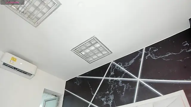 AerumChae webcam