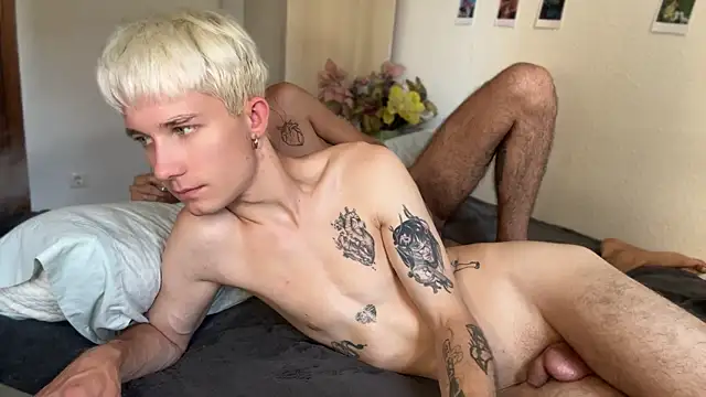 AlphaTwinks webcam