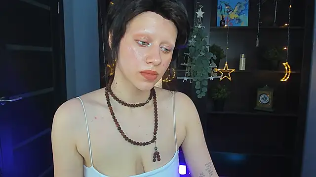 LidaDarknet webcam
