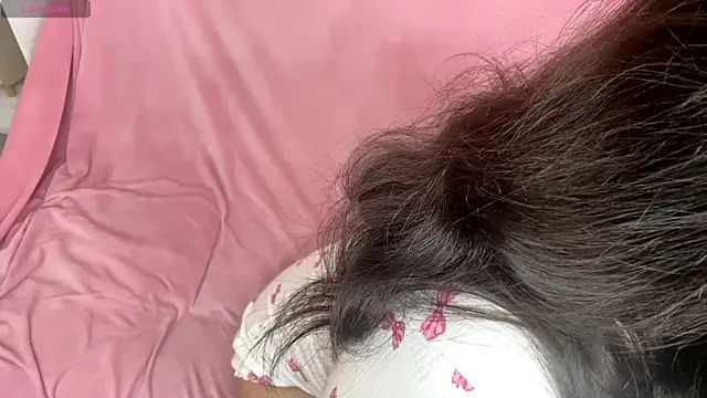AvroraDisney webcam