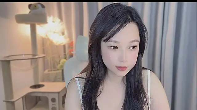 facai-feifei webcam