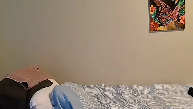 belgianshantie webcam