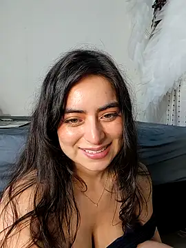 styria_M webcam